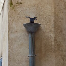 Chat de gouttière null