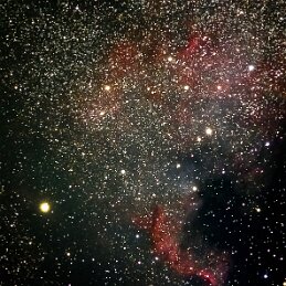 NGC 7000 _ Nébuleuse America null