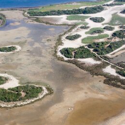 La Camargue. null