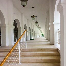 Eugénie les bains null